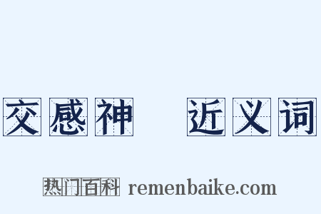 交感神經近义词是什么意思的图片